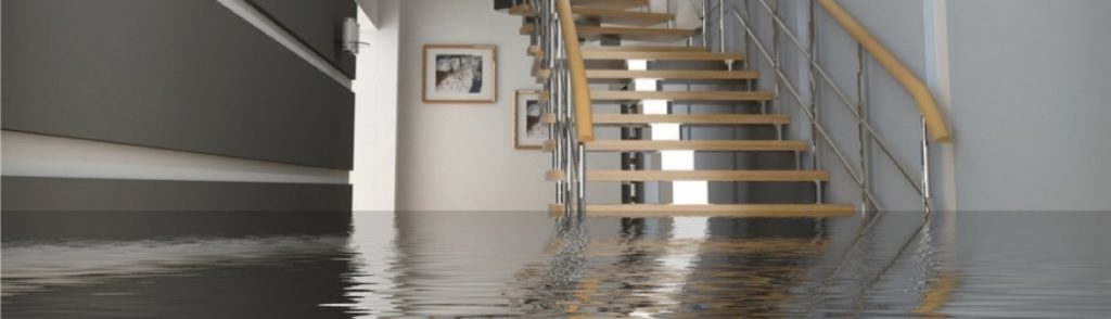 Flooded Home - Kotz