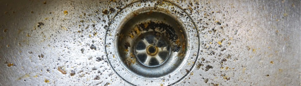 Don’t Ignore a Slow or Clogged Drain