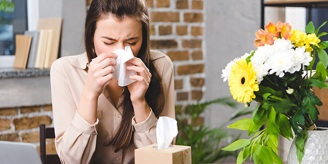Which IAQ Products Are Best For Allergy Season